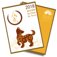 Année Feng Shui 2018 - Année chinoise du Chien de Terre